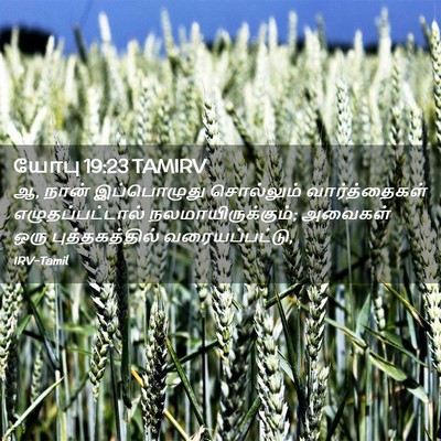 Picture 02 - யோபு 19:23 TAMIRV - ஆ, நான் இப்பொழுது - Bible Verse Picture