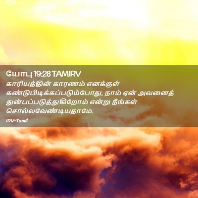 Picture 02 - யோபு 19:28 TAMIRV - காரியத்தின் - Bible Verse Picture