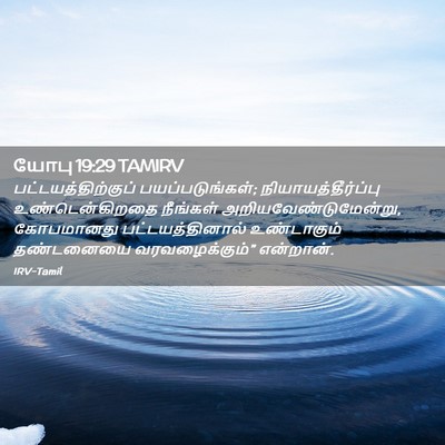 Picture 02 - யோபு 19:29 TAMIRV - பட்டயத்திற்குப் - Bible Verse Picture