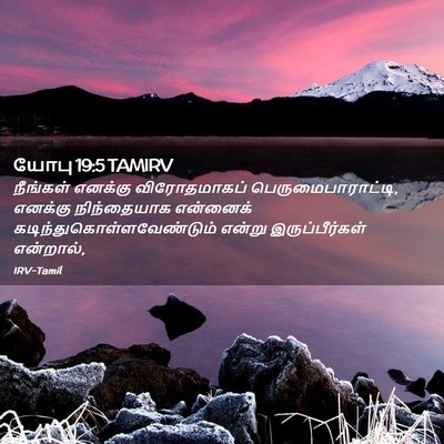 Picture 02 - யோபு 19:5 TAMIRV - நீங்கள் எனக்கு - Bible Verse Picture