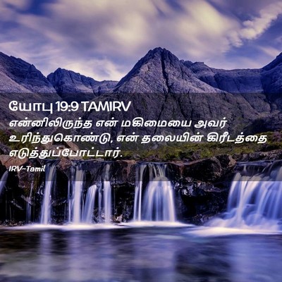 Picture 02 - யோபு 19:9 TAMIRV - என்னிலிருந்த என் - Bible Verse Picture