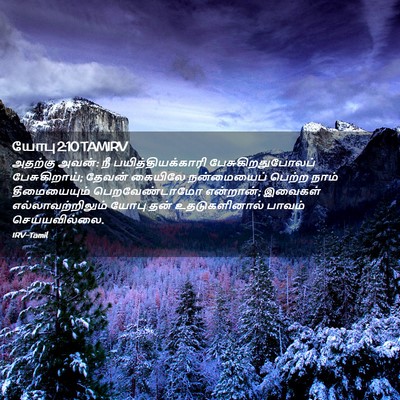 Picture 02 - யோபு 2:10 TAMIRV - அதற்கு அவன்: நீ - Bible Verse Picture