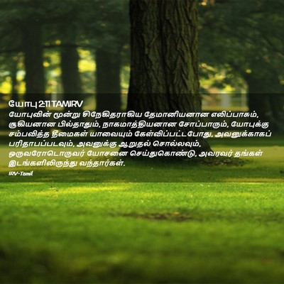 Picture 02 - யோபு 2:11 TAMIRV - யோபுவின் மூன்று - Bible Verse Picture