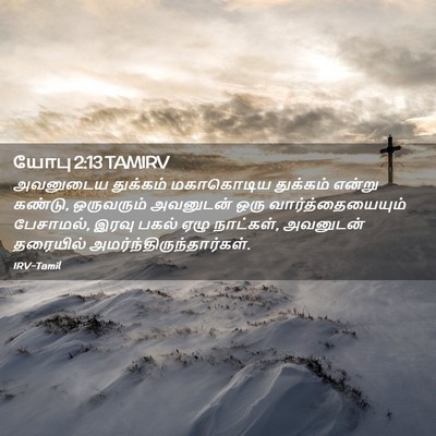 Picture 02 - யோபு 2:13 TAMIRV - அவனுடைய துக்கம் - Bible Verse Picture