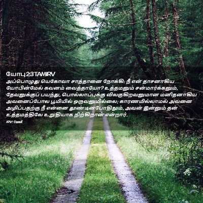 Picture 02 - யோபு 2:3 TAMIRV - அப்பொழுது யெகோவா - Bible Verse Picture