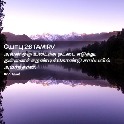 Picture 02 - யோபு 2:8 TAMIRV - அவன் ஒரு உடைந்த - Bible Verse Picture