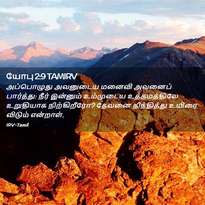Picture 02 - யோபு 2:9 TAMIRV - அப்பொழுது அவனுடைய - Bible Verse Picture