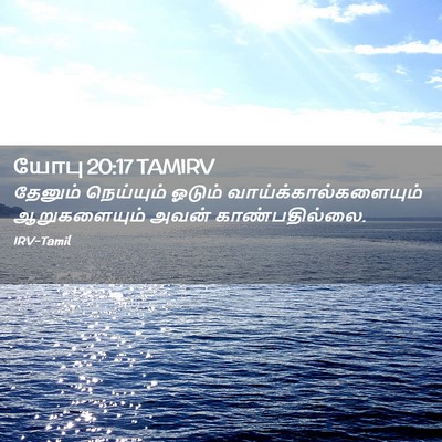 Picture 02 - யோபு 20:17 TAMIRV - தேனும் நெய்யும் - Bible Verse Picture