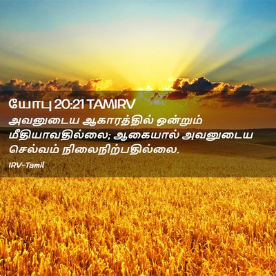 Picture 02 - யோபு 20:21 TAMIRV - அவனுடைய - Bible Verse Picture