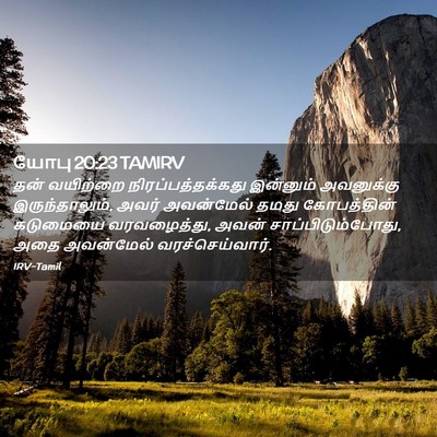 Picture 02 - யோபு 20:23 TAMIRV - தன் வயிற்றை - Bible Verse Picture