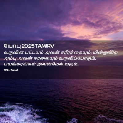 Picture 02 - யோபு 20:25 TAMIRV - உருவின பட்டயம் - Bible Verse Picture