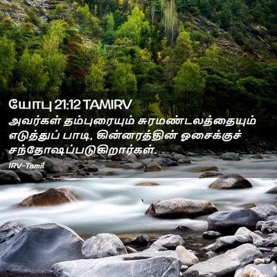 Picture 02 - யோபு 21:12 TAMIRV - அவர்கள் - Bible Verse Picture