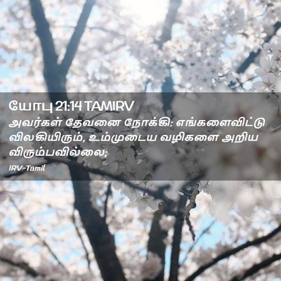 Picture 02 - யோபு 21:14 TAMIRV - அவர்கள் தேவனை - Bible Verse Picture