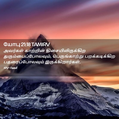Picture 02 - யோபு 21:18 TAMIRV - அவர்கள் காற்றின் - Bible Verse Picture
