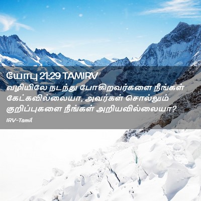 Picture 02 - யோபு 21:29 TAMIRV - வழியிலே நடந்து - Bible Verse Picture