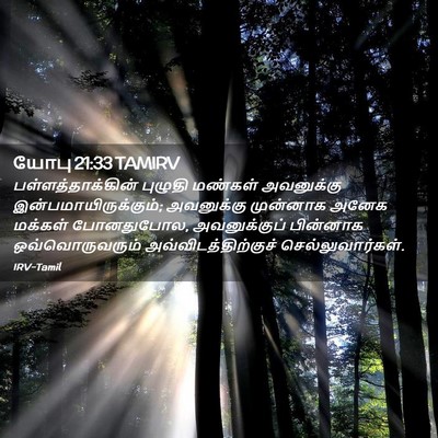 Picture 02 - யோபு 21:33 TAMIRV - பள்ளத்தாக்கின் - Bible Verse Picture
