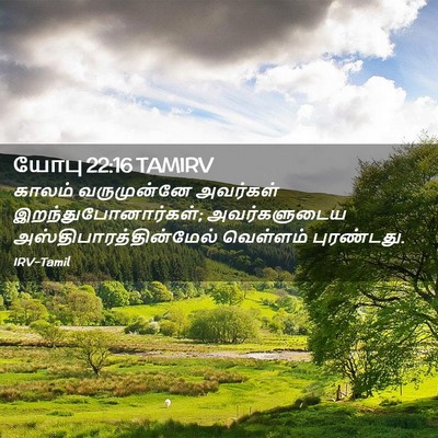 Picture 02 - யோபு 22:16 TAMIRV - காலம் வருமுன்னே - Bible Verse Picture