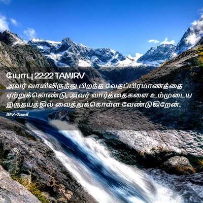 Picture 02 - யோபு 22:22 TAMIRV - அவர் வாயிலிருந்து - Bible Verse Picture