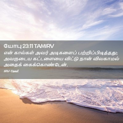 Picture 02 - யோபு 23:11 TAMIRV - என் கால்கள் அவர் - Bible Verse Picture