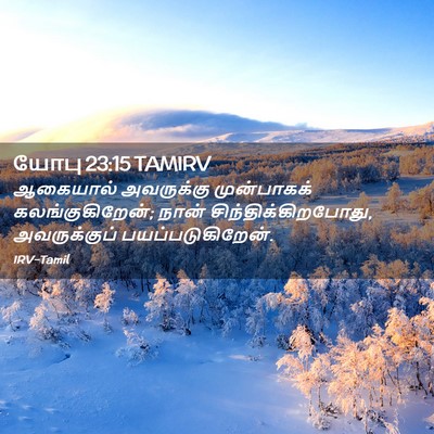 Picture 02 - யோபு 23:15 TAMIRV - ஆகையால் அவருக்கு - Bible Verse Picture