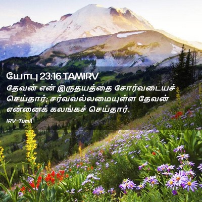 Picture 02 - யோபு 23:16 TAMIRV - தேவன் என் - Bible Verse Picture