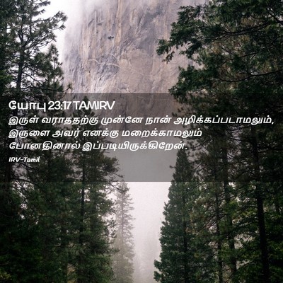 Picture 02 - யோபு 23:17 TAMIRV - இருள் வராததற்கு - Bible Verse Picture
