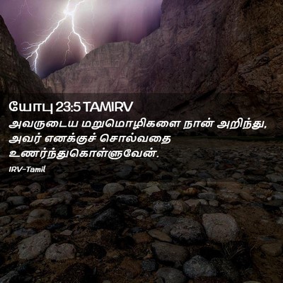 Picture 02 - யோபு 23:5 TAMIRV - அவருடைய - Bible Verse Picture