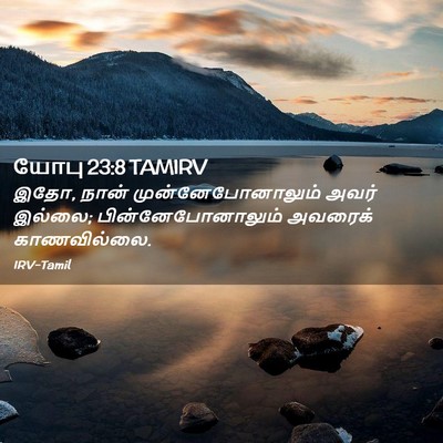 Picture 02 - யோபு 23:8 TAMIRV - இதோ, நான் - Bible Verse Picture