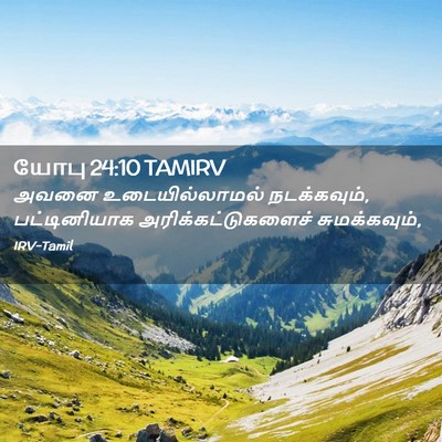 Picture 02 - யோபு 24:10 TAMIRV - அவனை உடையில்லாமல் - Bible Verse Picture