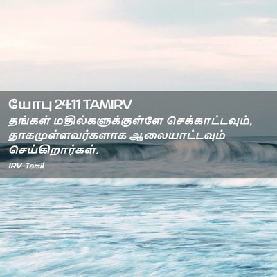 Picture 02 - யோபு 24:11 TAMIRV - தங்கள் - Bible Verse Picture