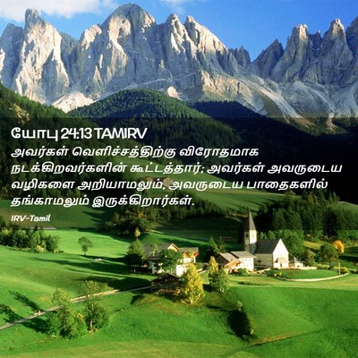 Picture 02 - யோபு 24:13 TAMIRV - அவர்கள் - Bible Verse Picture
