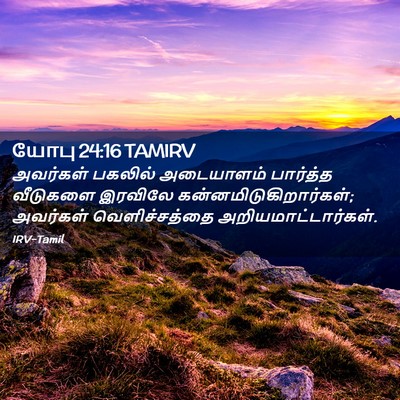 Picture 02 - யோபு 24:16 TAMIRV - அவர்கள் பகலில் - Bible Verse Picture