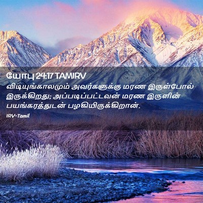 Picture 02 - யோபு 24:17 TAMIRV - விடியுங்காலமும் - Bible Verse Picture