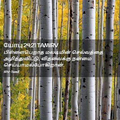 Picture 02 - யோபு 24:21 TAMIRV - பிள்ளைபெறாத - Bible Verse Picture