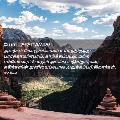 Picture 02 - யோபு 24:24 TAMIRV - அவர்கள் - Bible Verse Picture