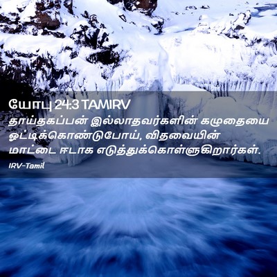 Picture 02 - யோபு 24:3 TAMIRV - தாய்தகப்பன் - Bible Verse Picture