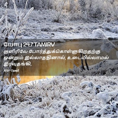 Picture 02 - யோபு 24:7 TAMIRV - குளிரிலே - Bible Verse Picture