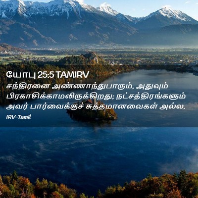Picture 02 - யோபு 25:5 TAMIRV - சந்திரனை - Bible Verse Picture