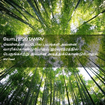 Picture 02 - யோபு 27:20 TAMIRV - வெள்ளத்தைப்போல - Bible Verse Picture
