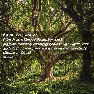 Picture 02 - யோபு 27:5 TAMIRV - நீங்கள் பேசுகிறது - Bible Verse Picture