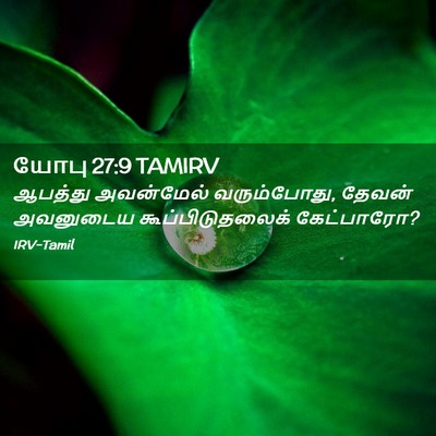 Picture 02 - யோபு 27:9 TAMIRV - ஆபத்து அவன்மேல் - Bible Verse Picture