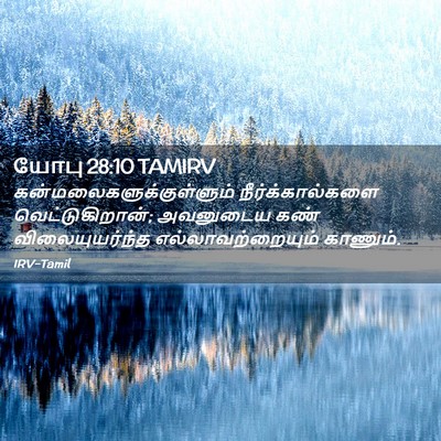Picture 02 - யோபு 28:10 TAMIRV -  - Bible Verse Picture