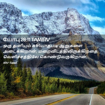 Picture 02 - யோபு 28:11 TAMIRV - ஒரு துளியும் - Bible Verse Picture