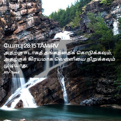 Picture 02 - யோபு 28:15 TAMIRV - அதற்கு ஈடாகத் - Bible Verse Picture