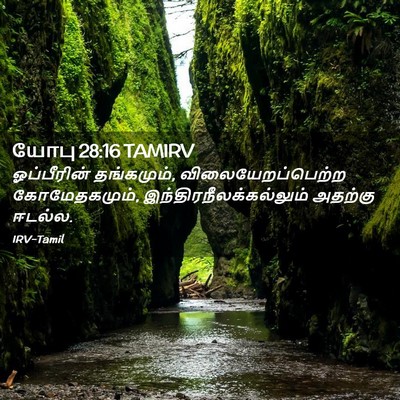 Picture 02 - யோபு 28:16 TAMIRV - ஓப்பீரின் - Bible Verse Picture