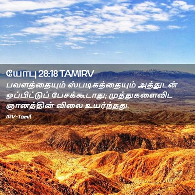 Picture 02 - யோபு 28:18 TAMIRV - பவளத்தையும் - Bible Verse Picture