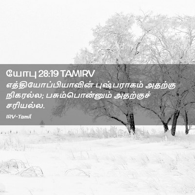 Picture 02 - யோபு 28:19 TAMIRV -  - Bible Verse Picture