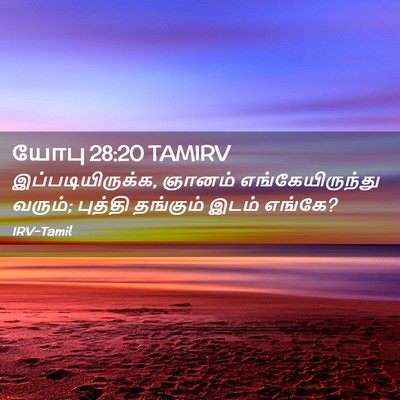 Picture 02 - யோபு 28:20 TAMIRV - இப்படியிருக்க, - Bible Verse Picture