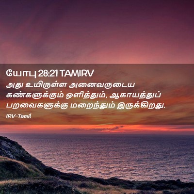 Picture 02 - யோபு 28:21 TAMIRV - அது உயிருள்ள - Bible Verse Picture