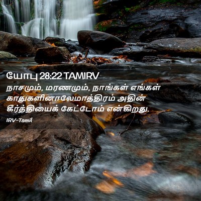 Picture 02 - யோபு 28:22 TAMIRV - நாசமும், மரணமும், - Bible Verse Picture